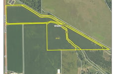 34005583