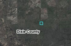 34065488