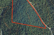 34169877