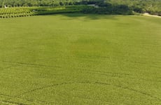 34296130