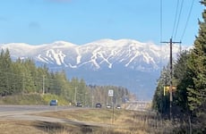 34316514