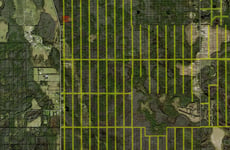 34316833