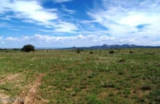 34320136
