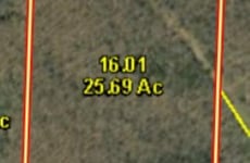 34351087
