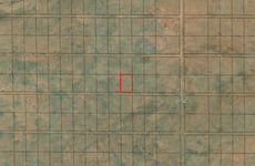 34356302