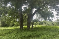 34367554