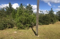 34369627