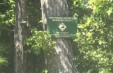 34379246