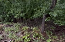 34402046