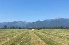 34408158