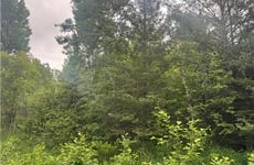 34414543