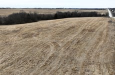 34415191