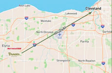 34421619