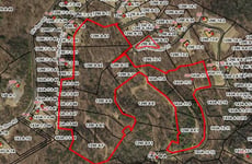 34501263