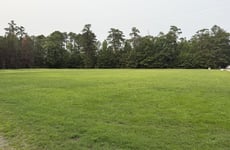 34505829