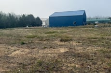 34596894