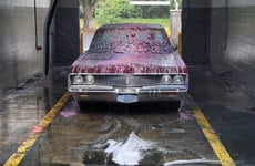 34601485