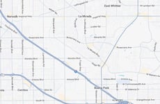 29568793