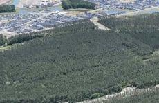 21816750
