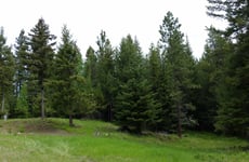 4862854