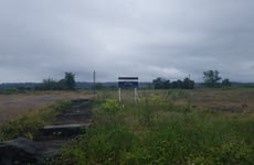 24627007
