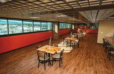 20669407