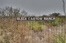 6908387