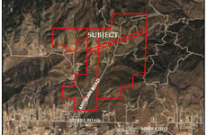26384242