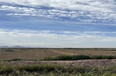11454241