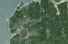 11483781