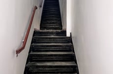 11809833