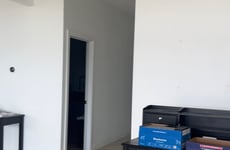 12260333
