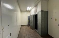 13005681
