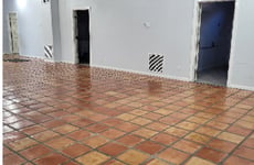 10186637