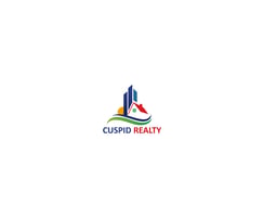 Cuspid Realty LLC