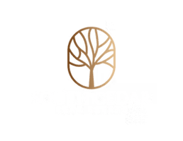 South Cedar Real Estate, Inc.