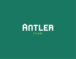Antler Team