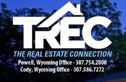 The Real Estate Connection