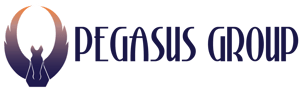Pegasus Retail
