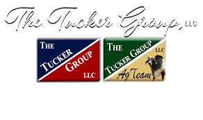 Tucker Group Llc