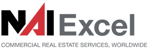 NAI Excel