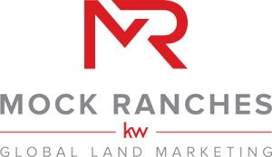 Keller Williams, LLC