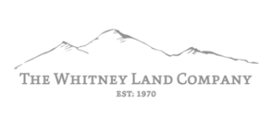 The Whitney land company