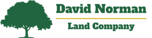 David Norman Realty