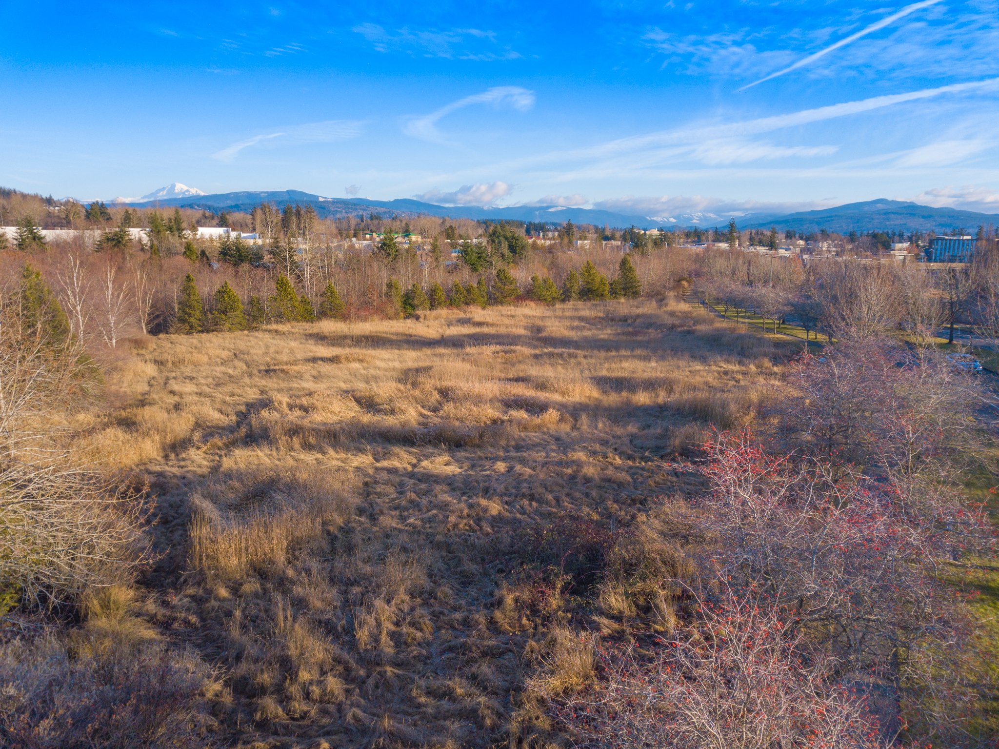 Cordata Pkwy, Bellingham, WA 98226