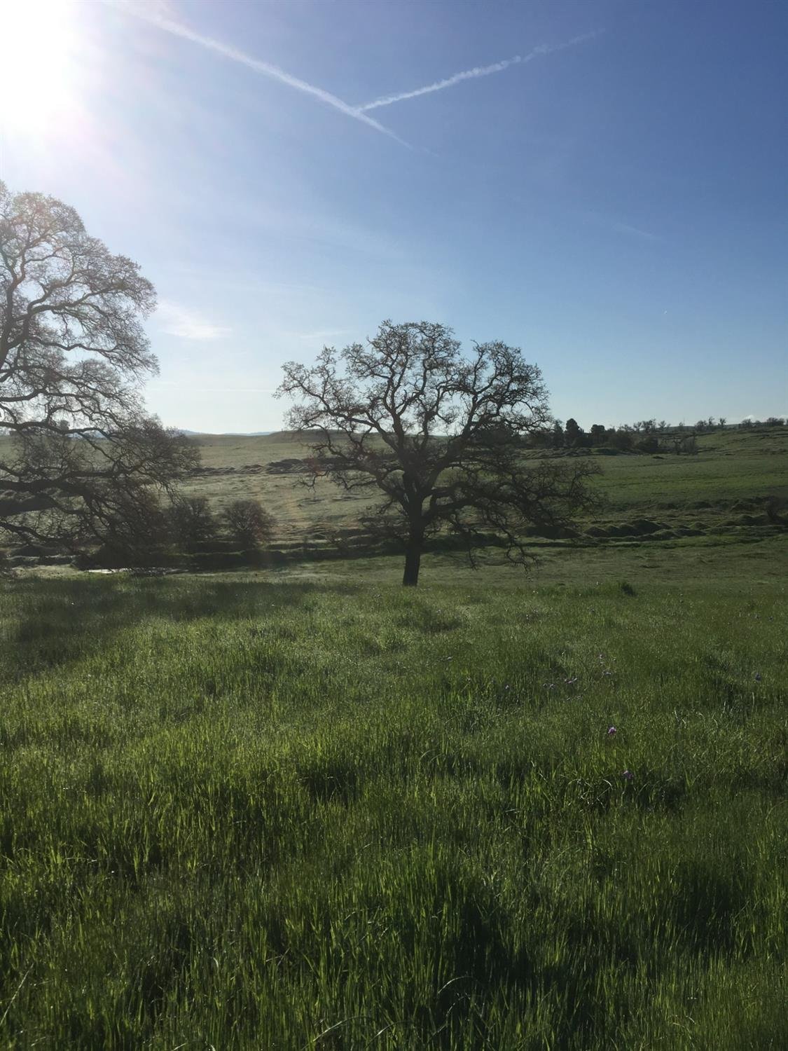 10232 Gregory Rd, Valley Springs, CA 95252
