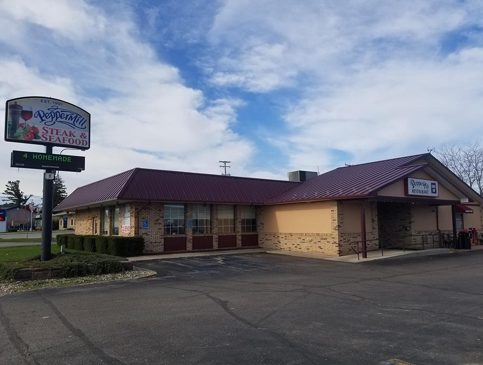 685 N Port Crescent St, Bad Axe, MI 48413
