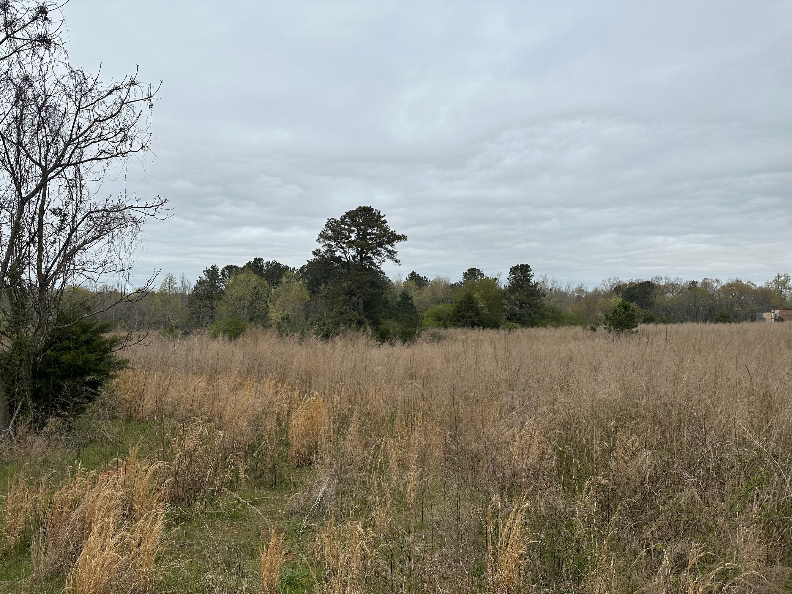 140 Whitetail Way, Bogart, GA 30622
