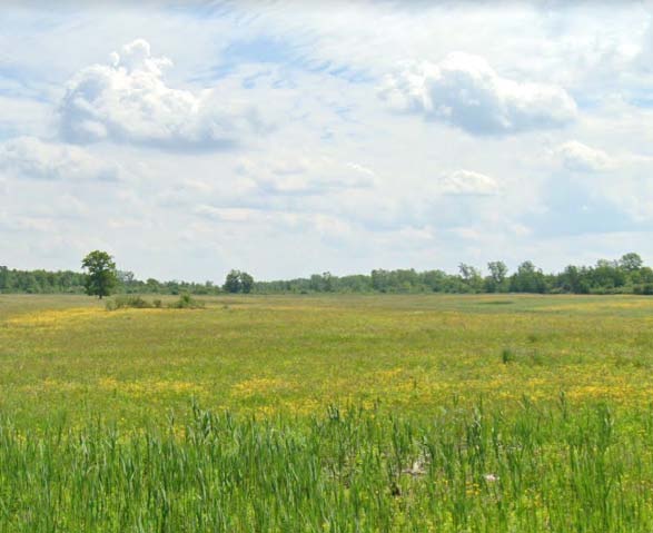 2313 Town Line Rd, Alden, NY 14004