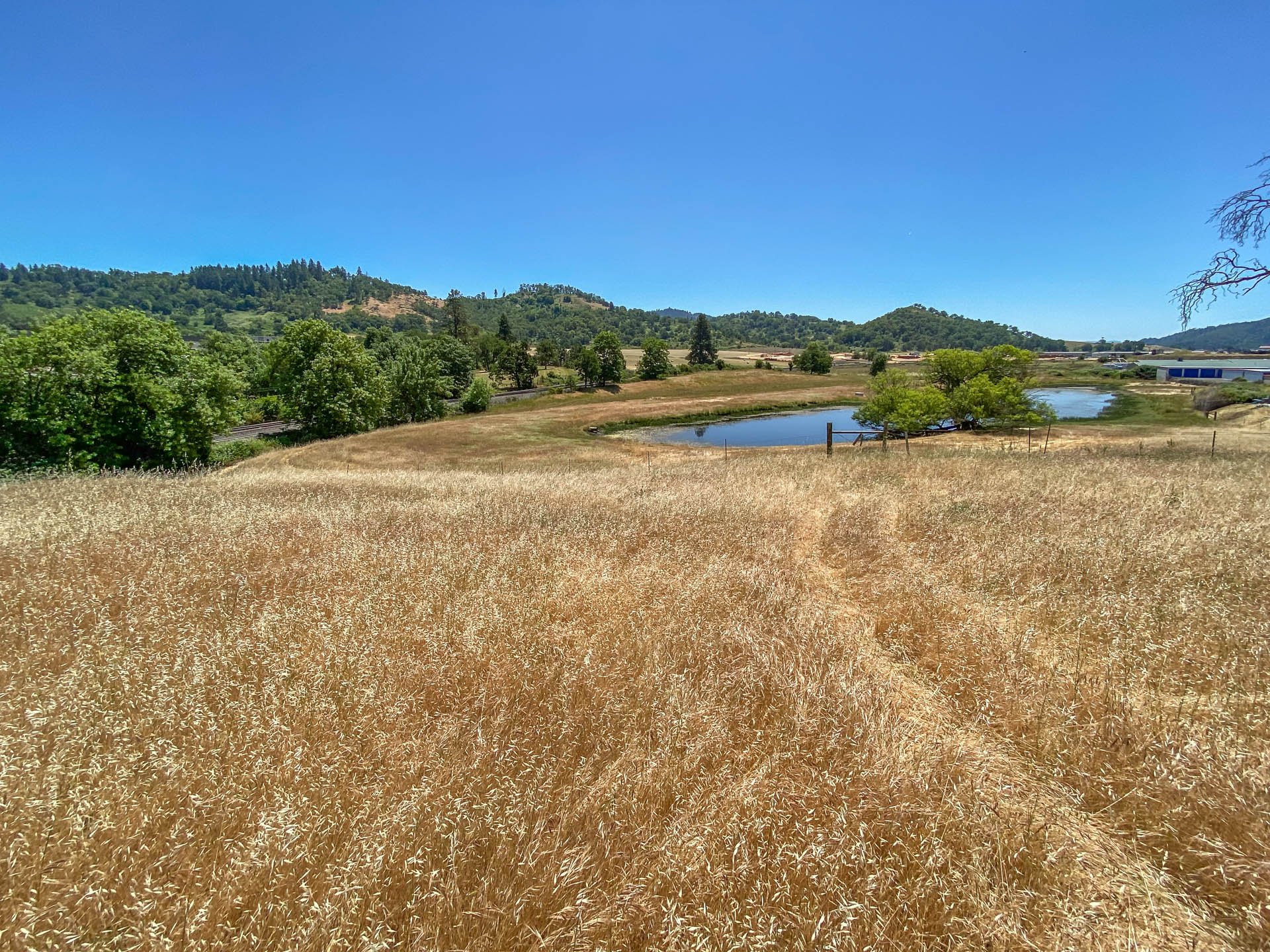 8017 Old Highway 99 N, Roseburg, OR 97470